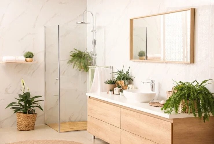 Ideal Plants That Do Wonders In A Bathroom | Elegant Showers