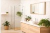 Ideal Plants That Do Wonders In A Bathroom | Elegant Showers