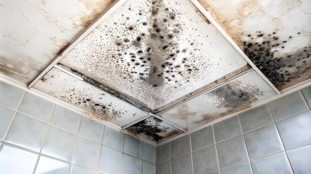 Mould on bathroom ceiling 