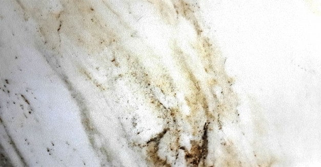 Best products to remove bathroom mould 