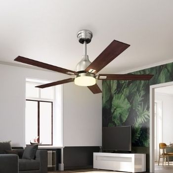 LED Ceiling Fans | Buy Remote Controlled Ceiling Fan Online | Elegant Showers